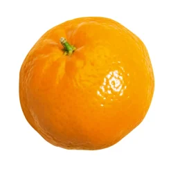 Purée de Fruits Mandarine 1kg - Capfruit