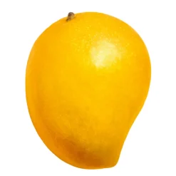 Purée de Fruits Mangue 1kg - Capfruit
