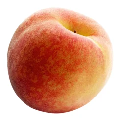 Purée de Fruits Pêche Blanche 1kg - Capfruit