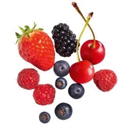 Purée de Fruits Rouges 1kg - Capfruit
