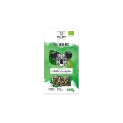 Thé vert Bio menthe & eucalyptus - Quai Sud