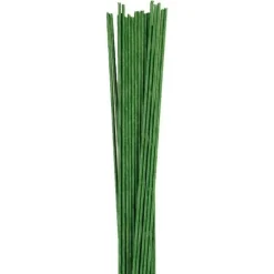 Tiges fleurs vert foncé x20 - Culpitt